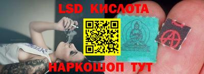 гидропоника Будённовск