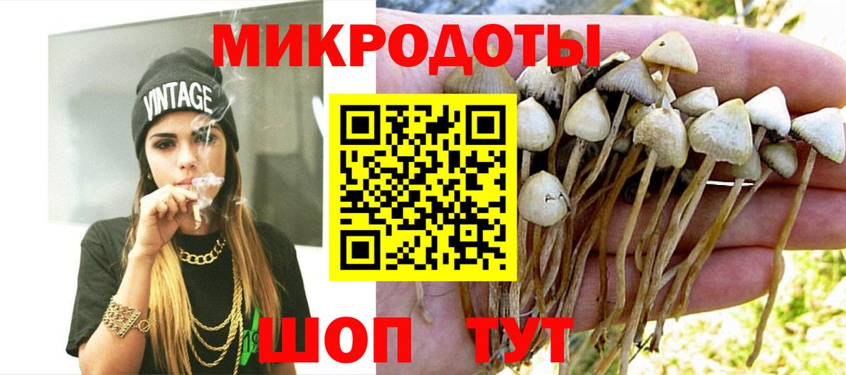 Нарьян-Мар  Псилоцибиновые грибы мухоморы  Вход с VPN 